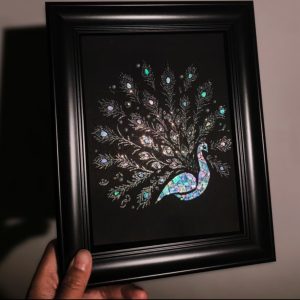 Peacock Display Luodian Art DIY Kit
