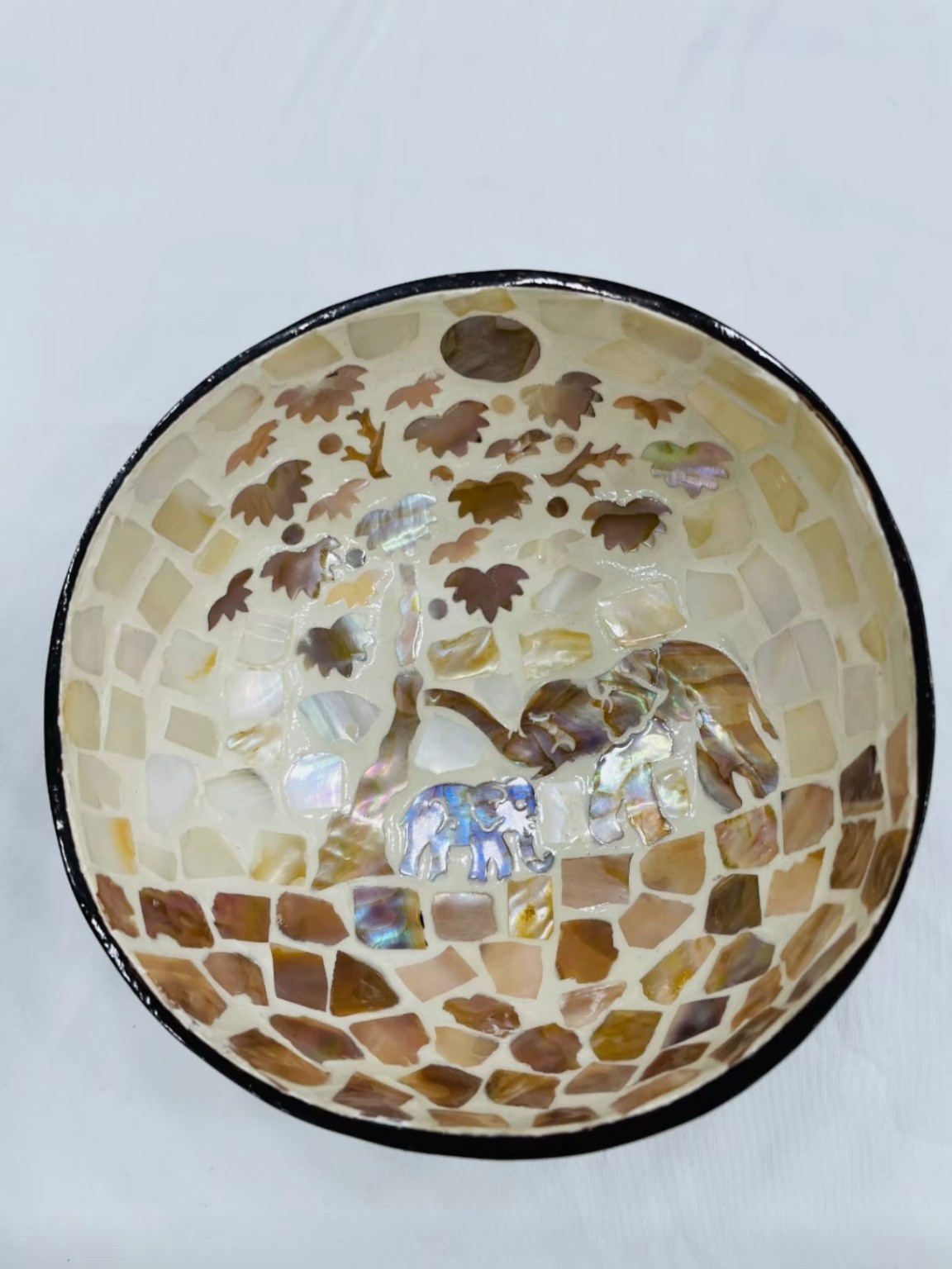Mother-of-Pearl Coconut Catchall