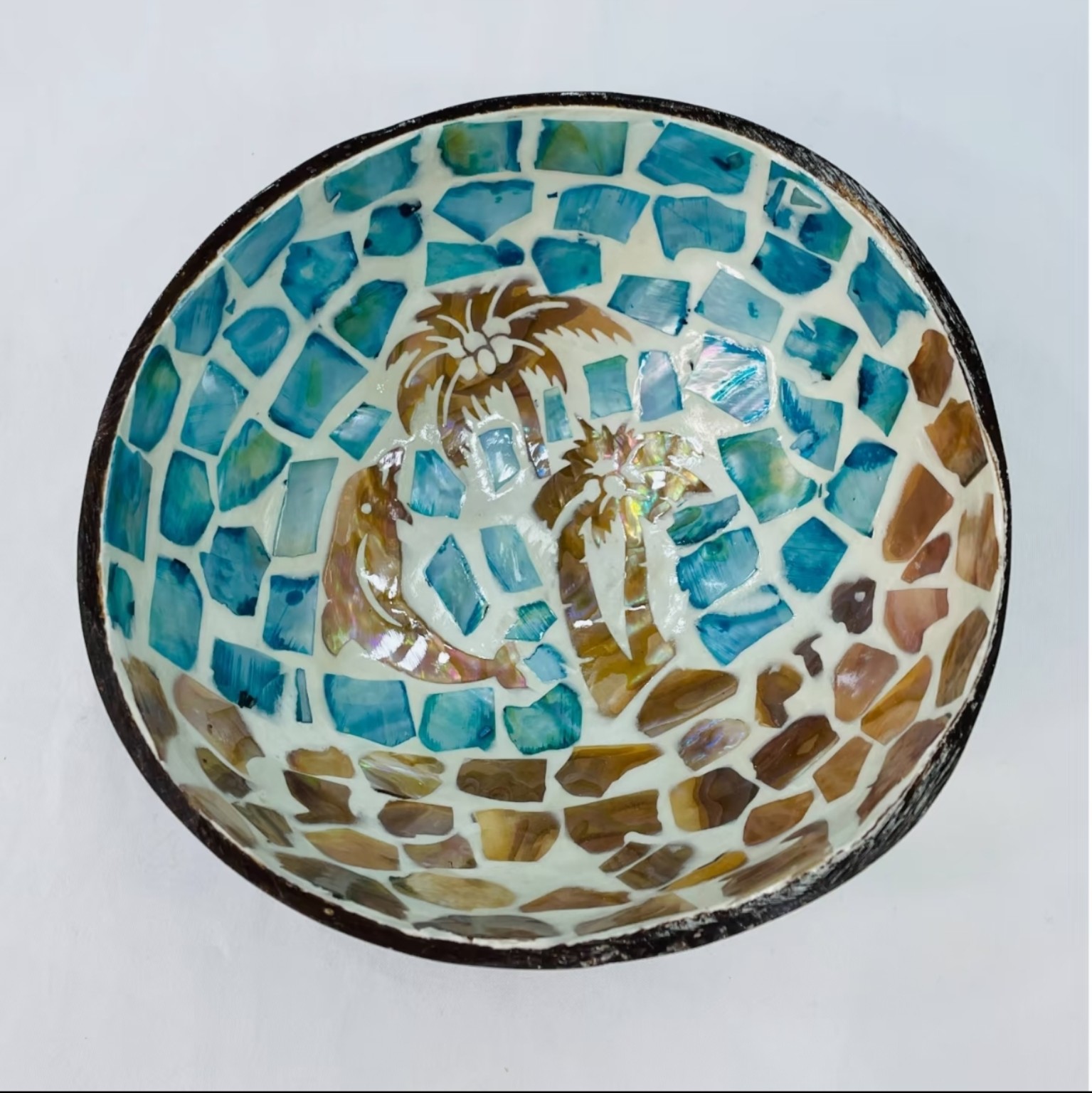 Mother-of-Pearl Coconut Catchall
