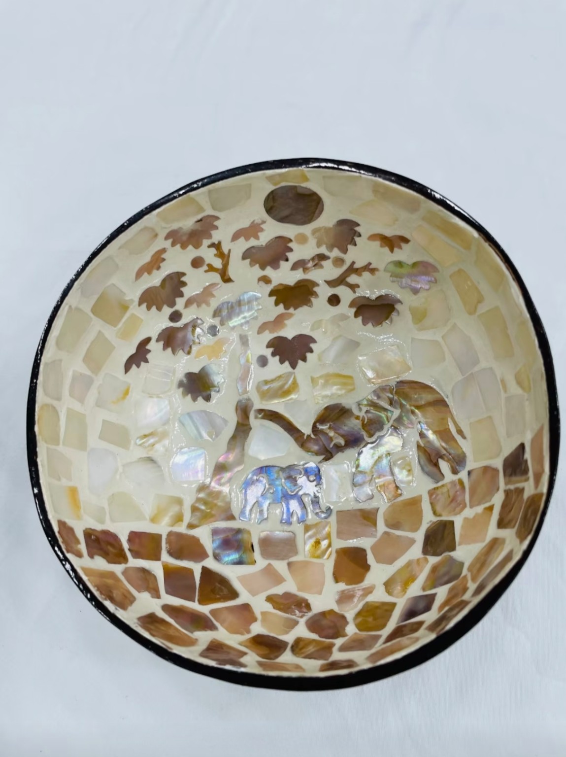 Mother-of-Pearl Coconut Catchall