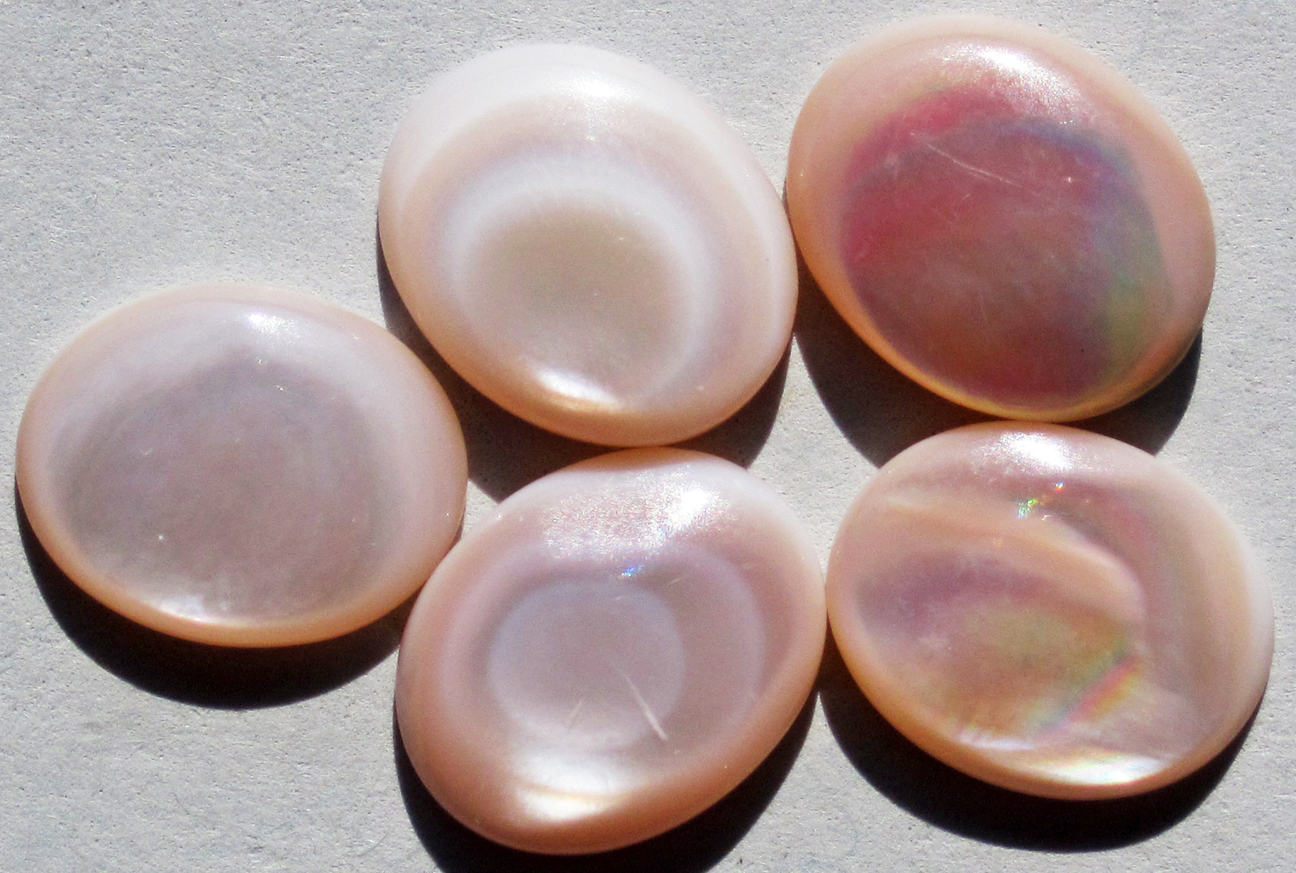 Natural nacreous aragonite showing mother-of-pearl iridescence